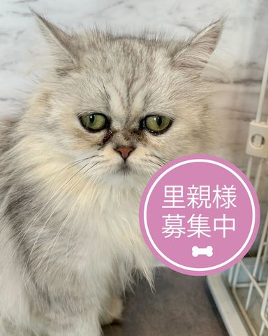 バツマル