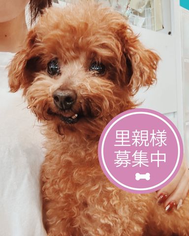 ナイトロ