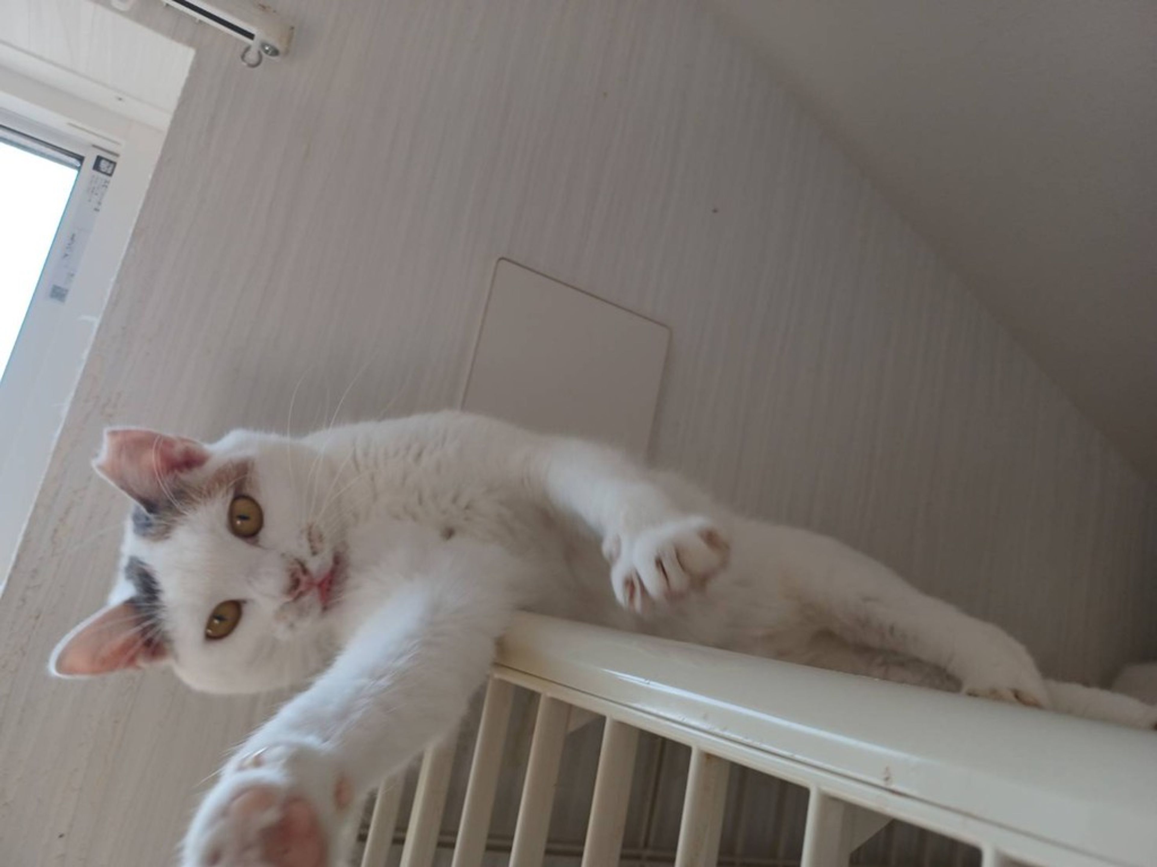 thumbnail-6