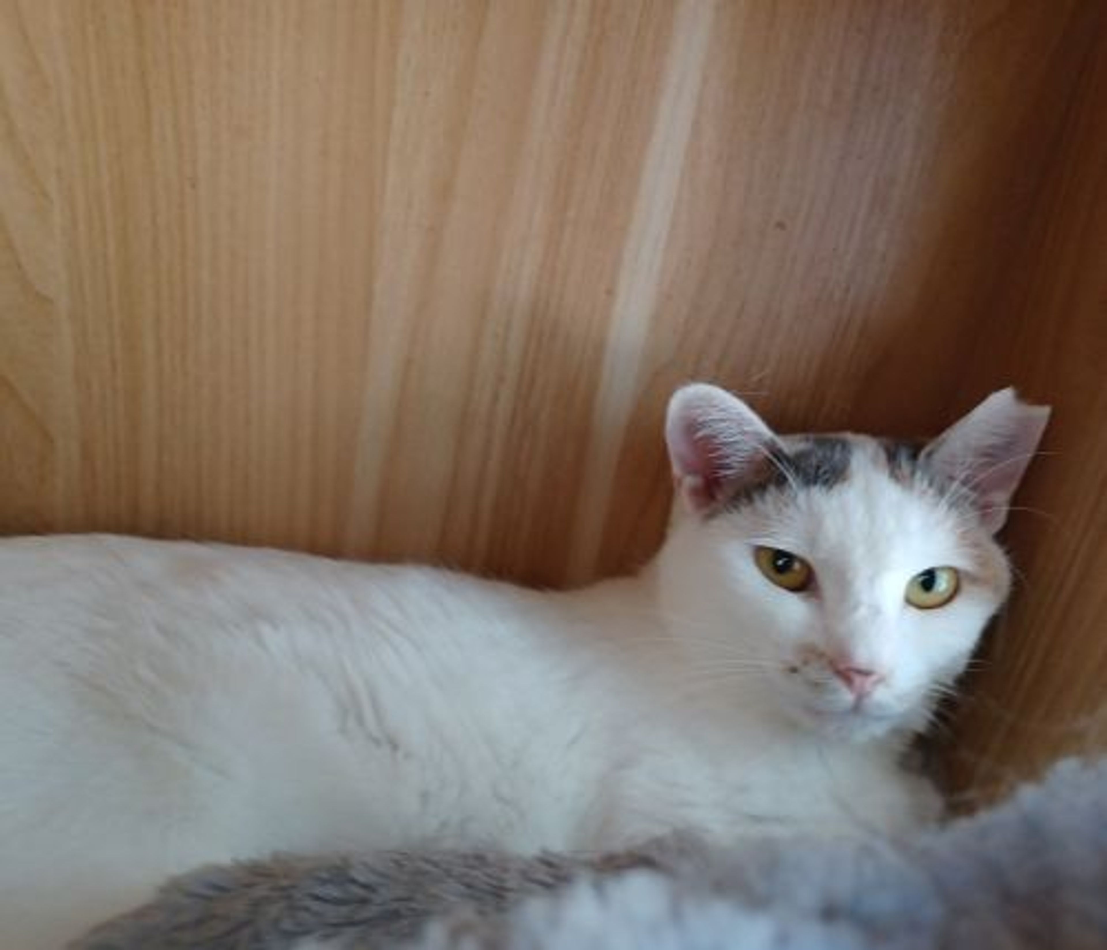 image-5