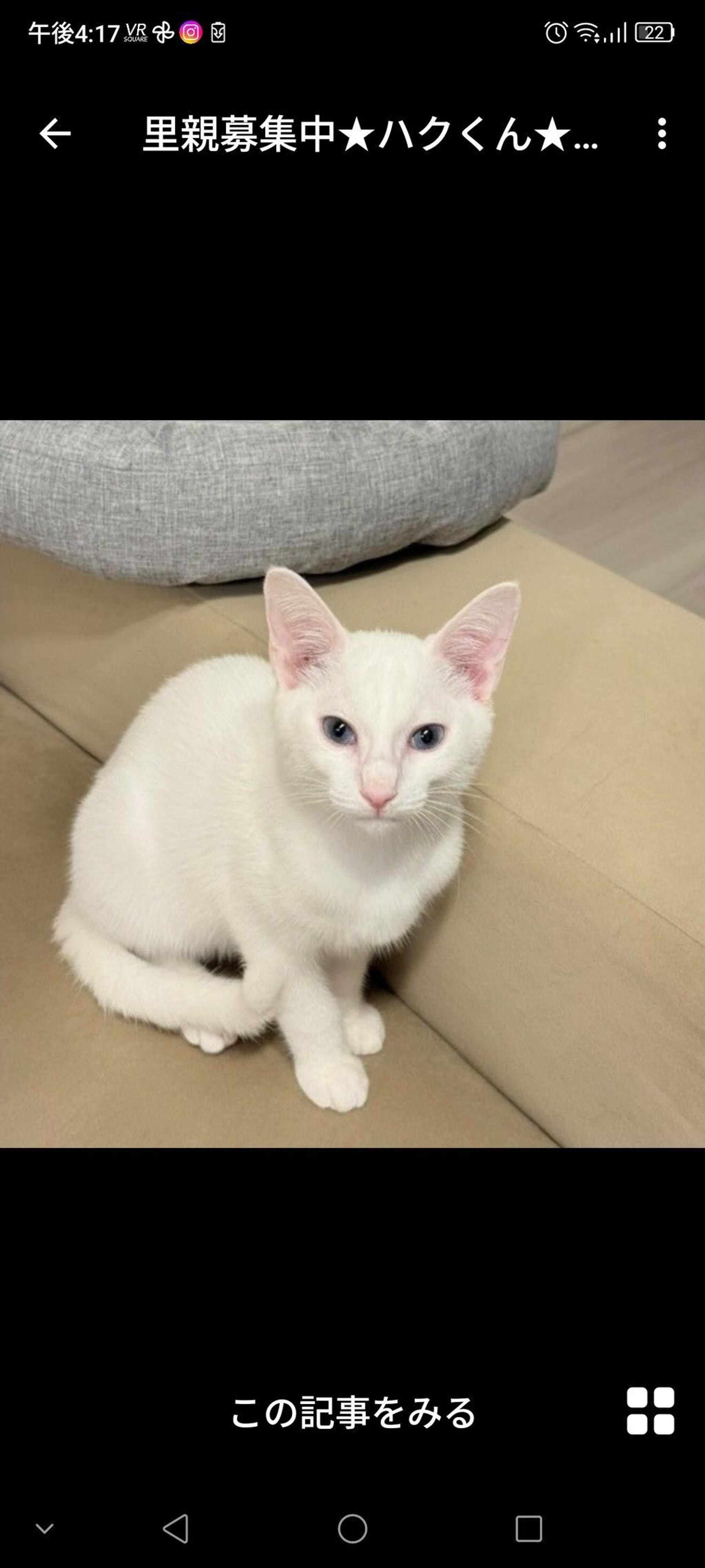 pet-image-3