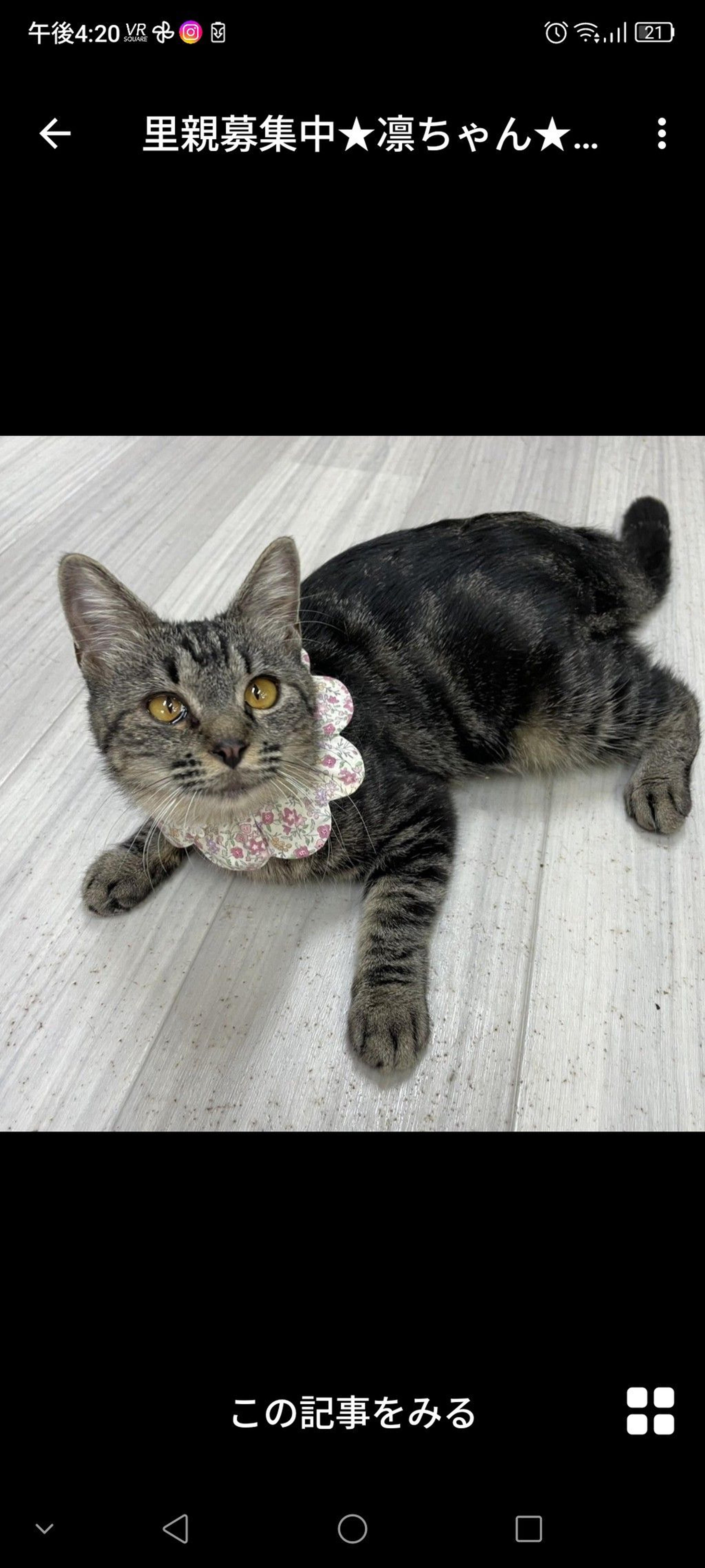 pet-image-2