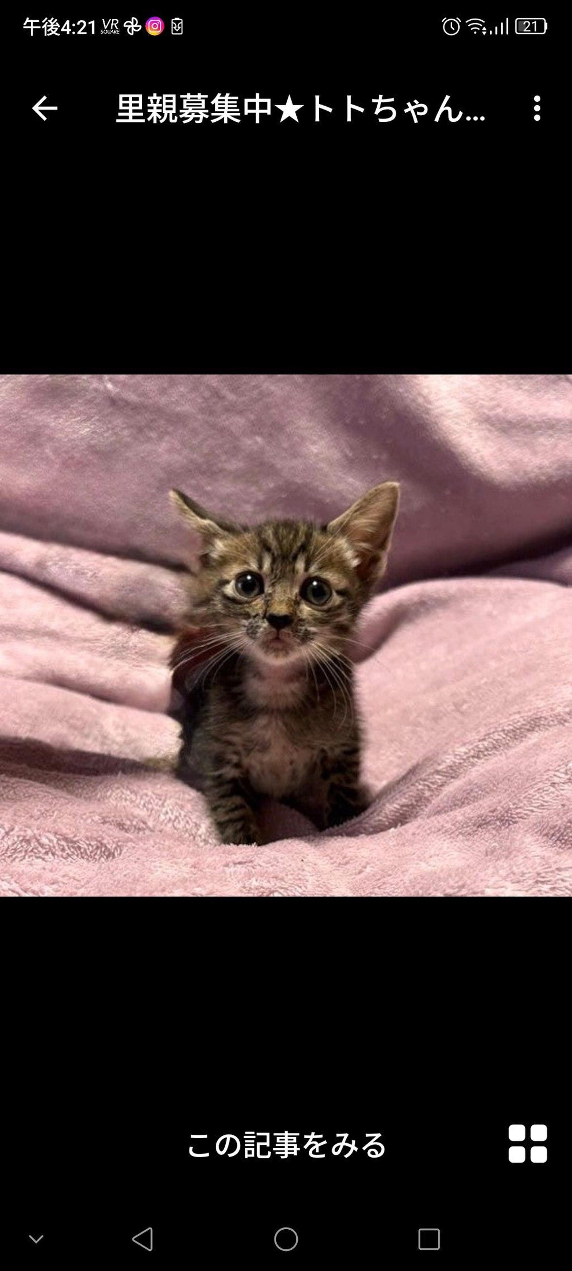pet-image-2
