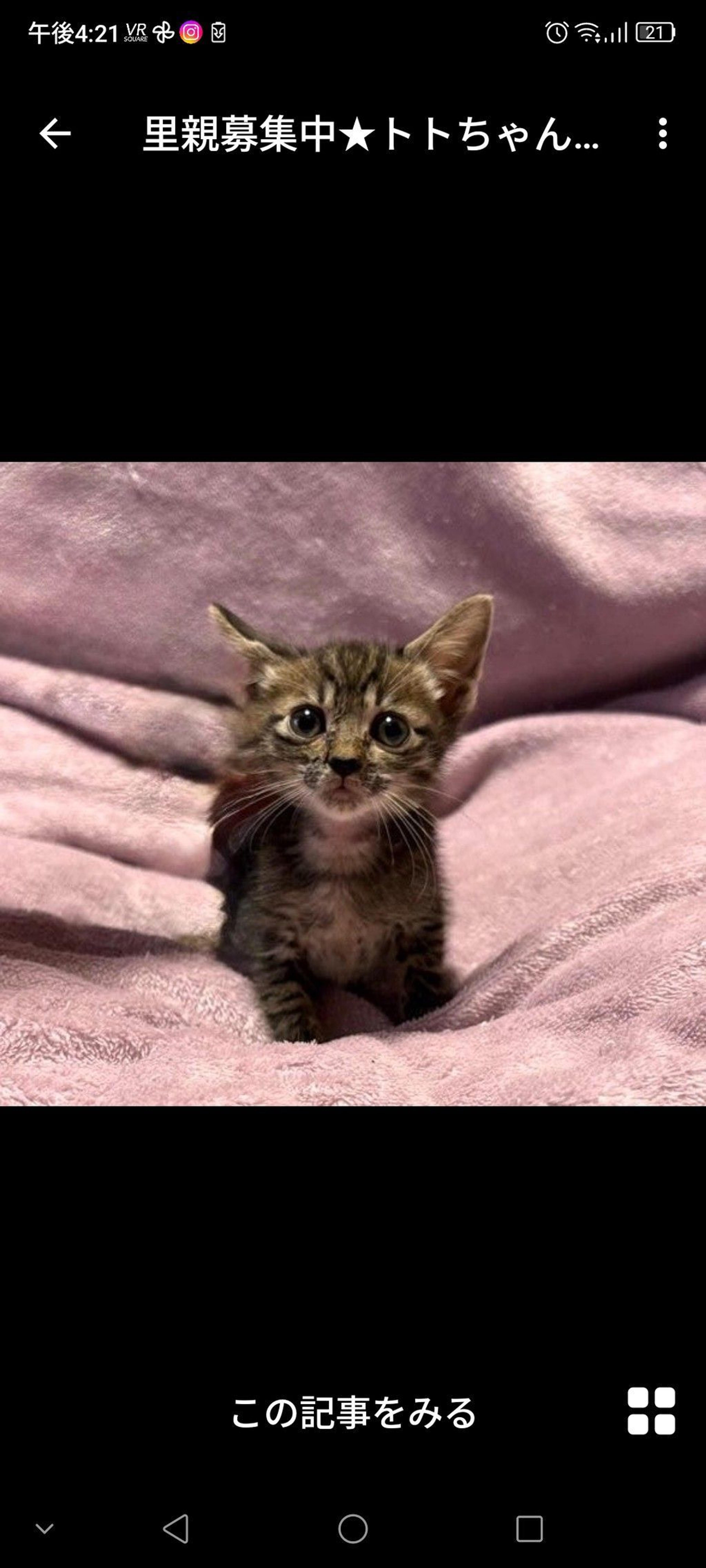 pet-image-2