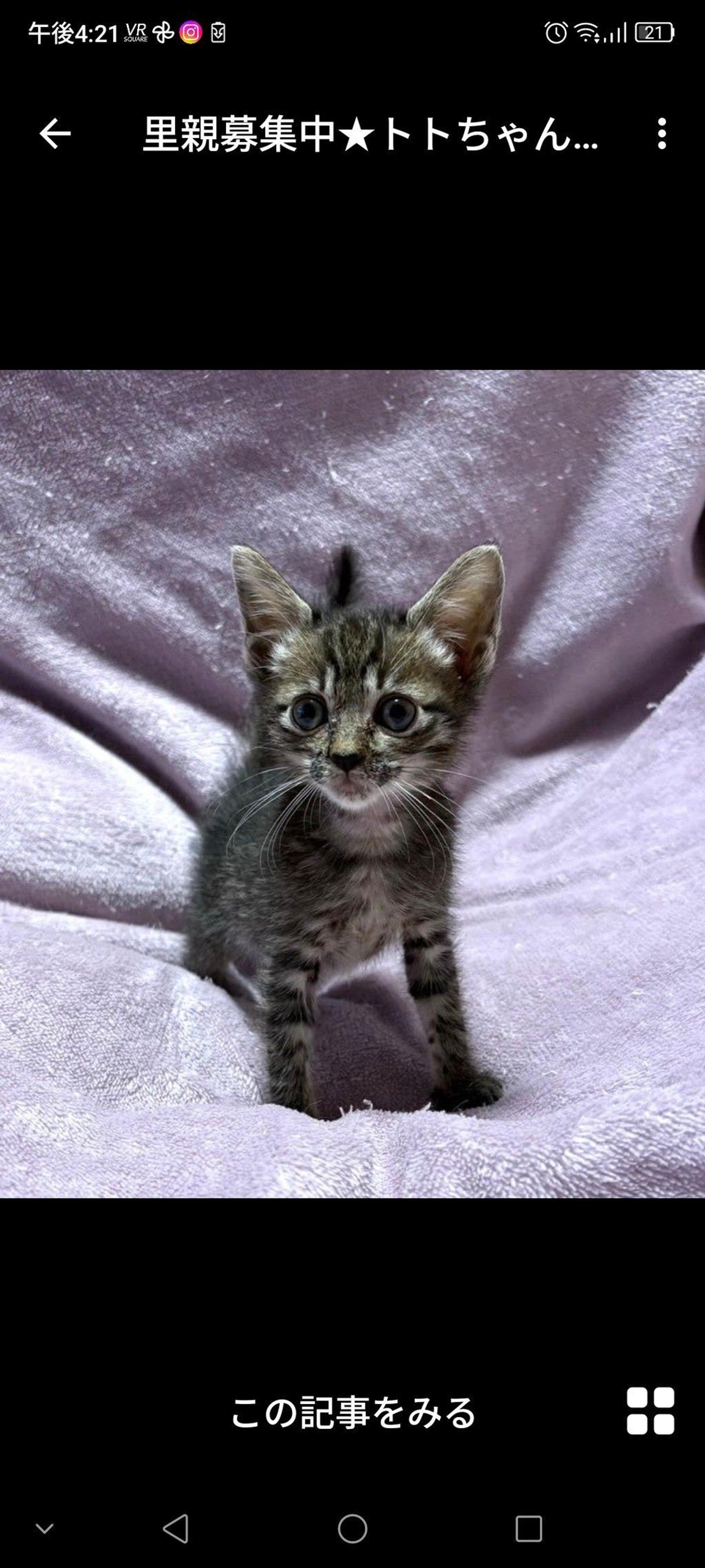 pet-image-3