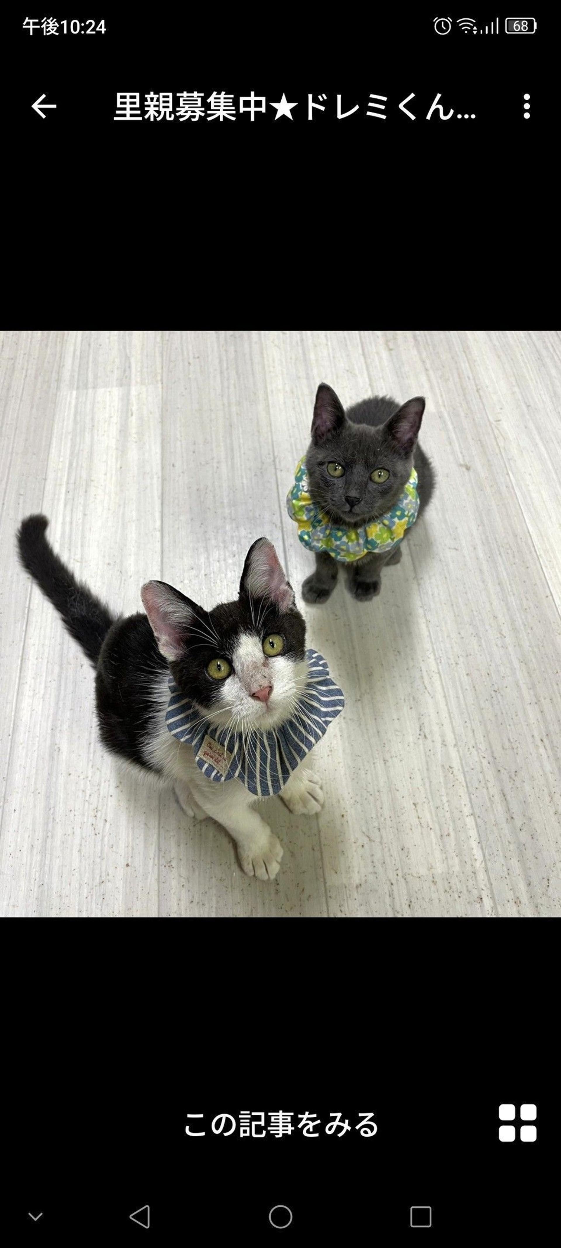 pet-image-3