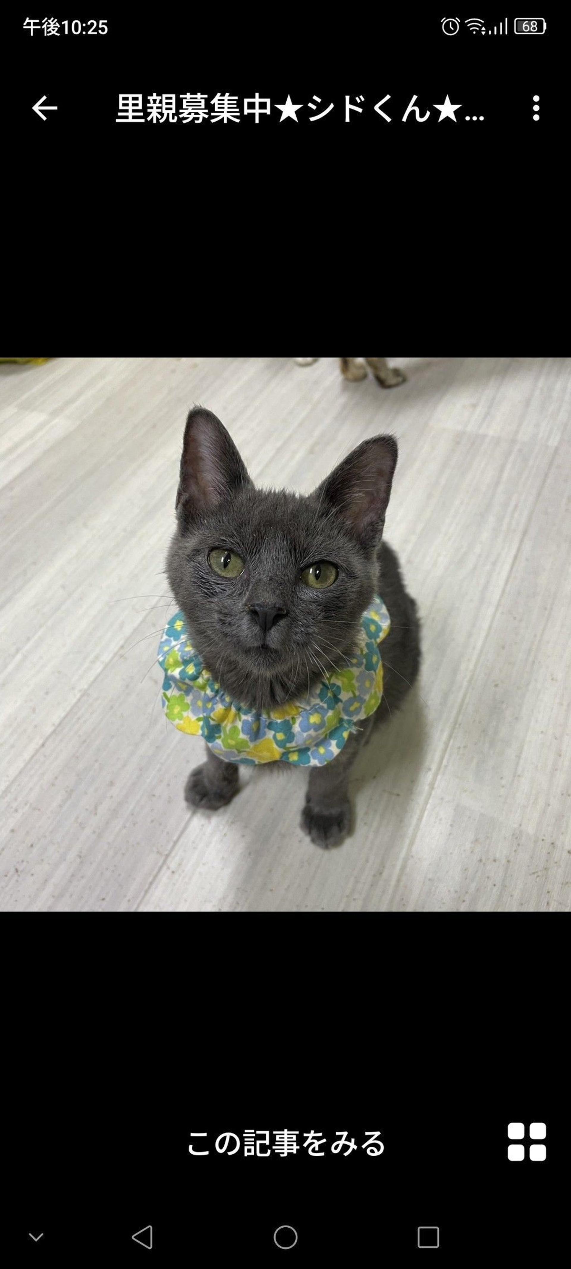 pet-image-2
