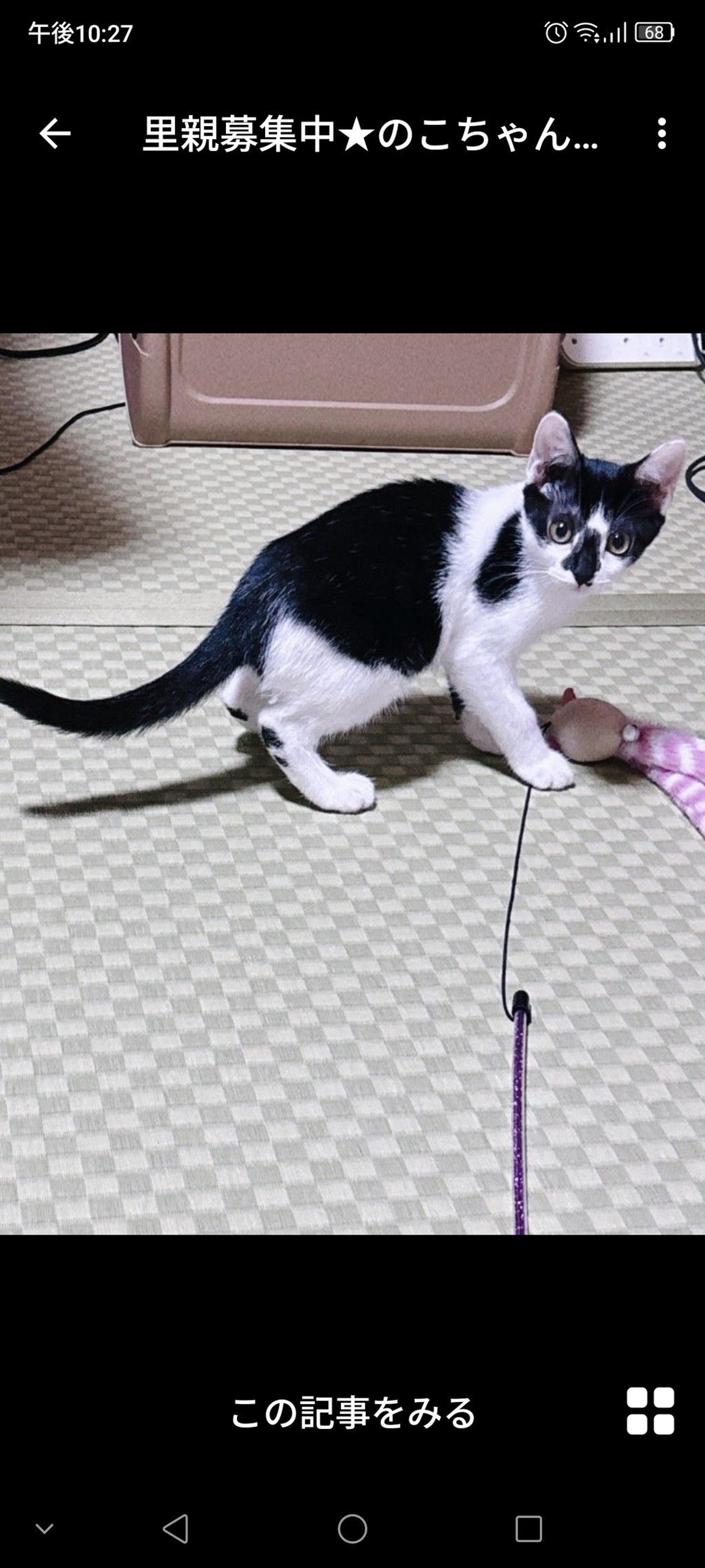pet-image-2