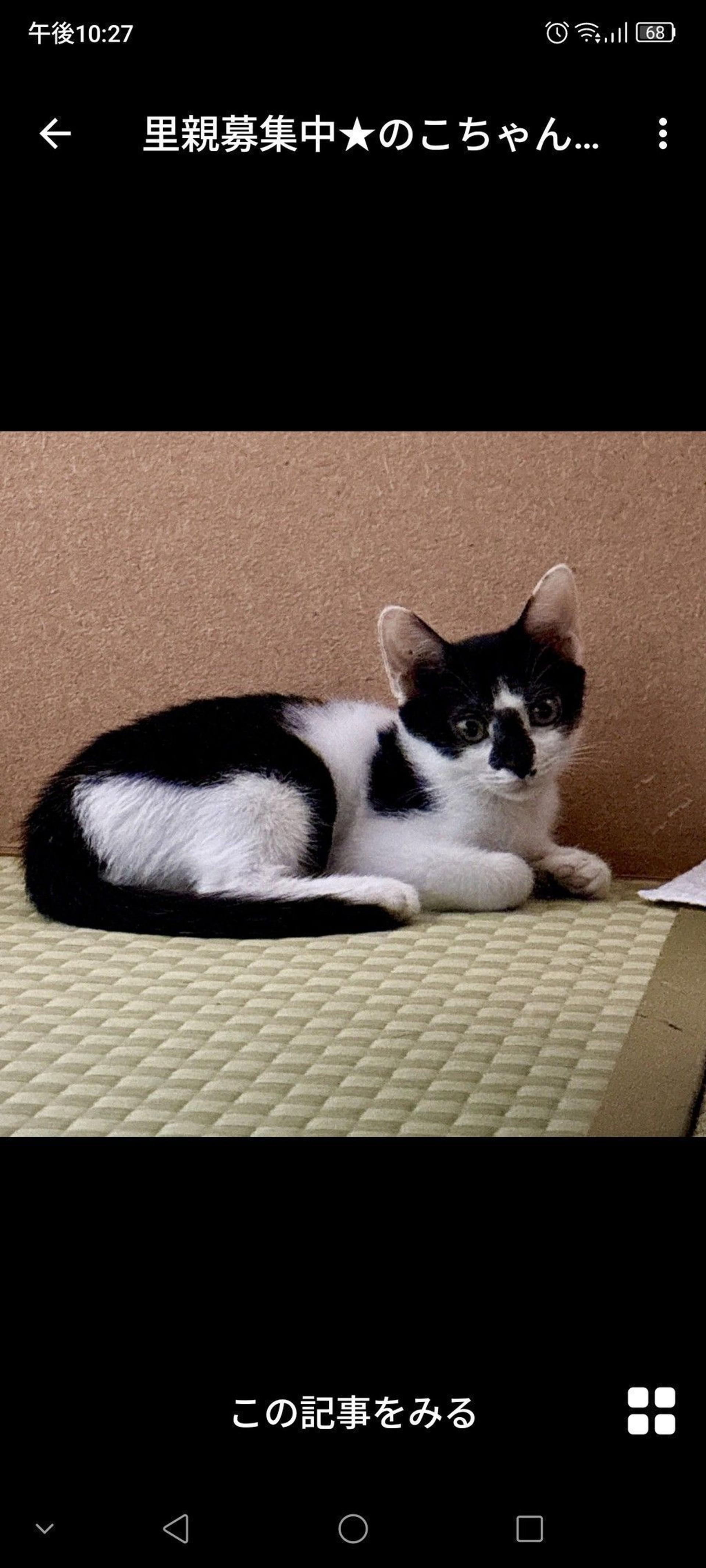 pet-image-3