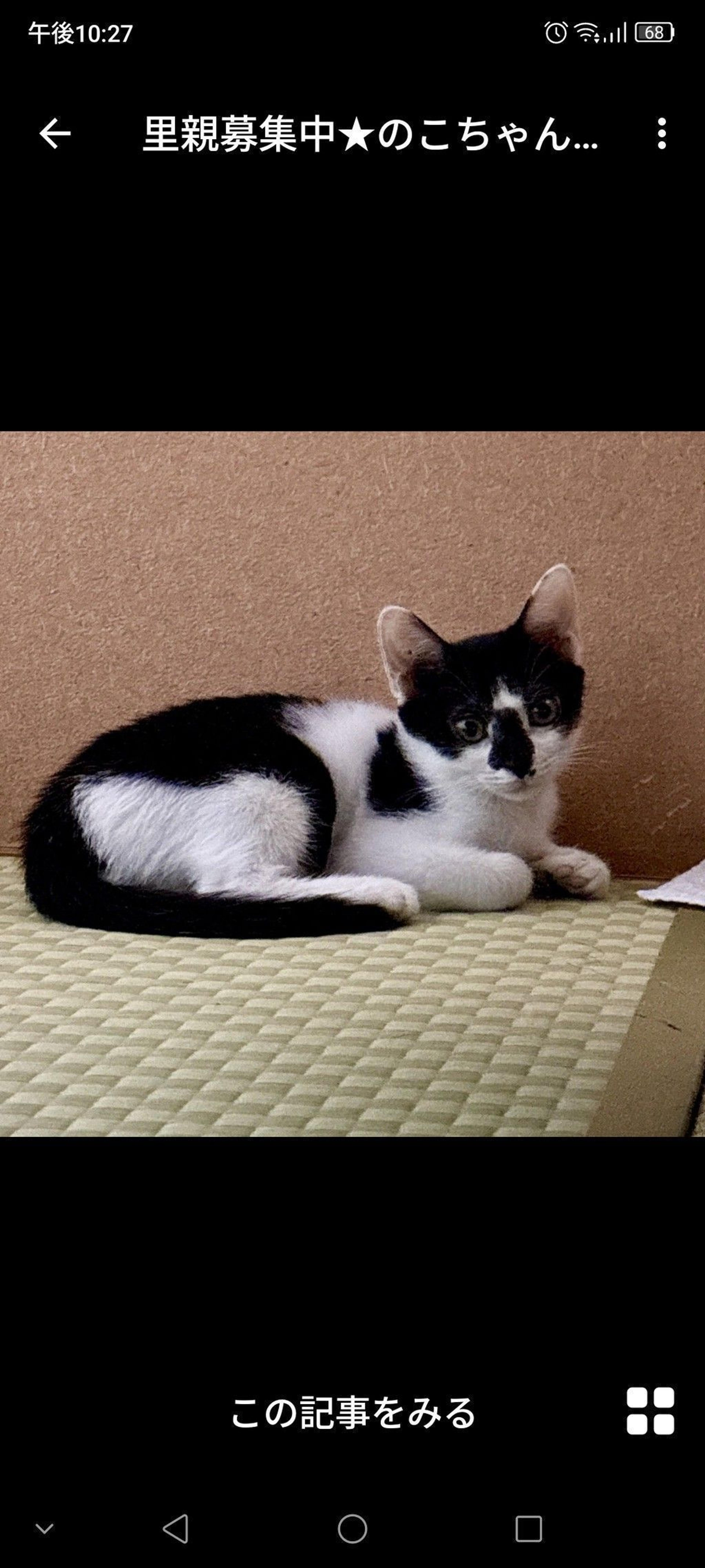 pet-image-3