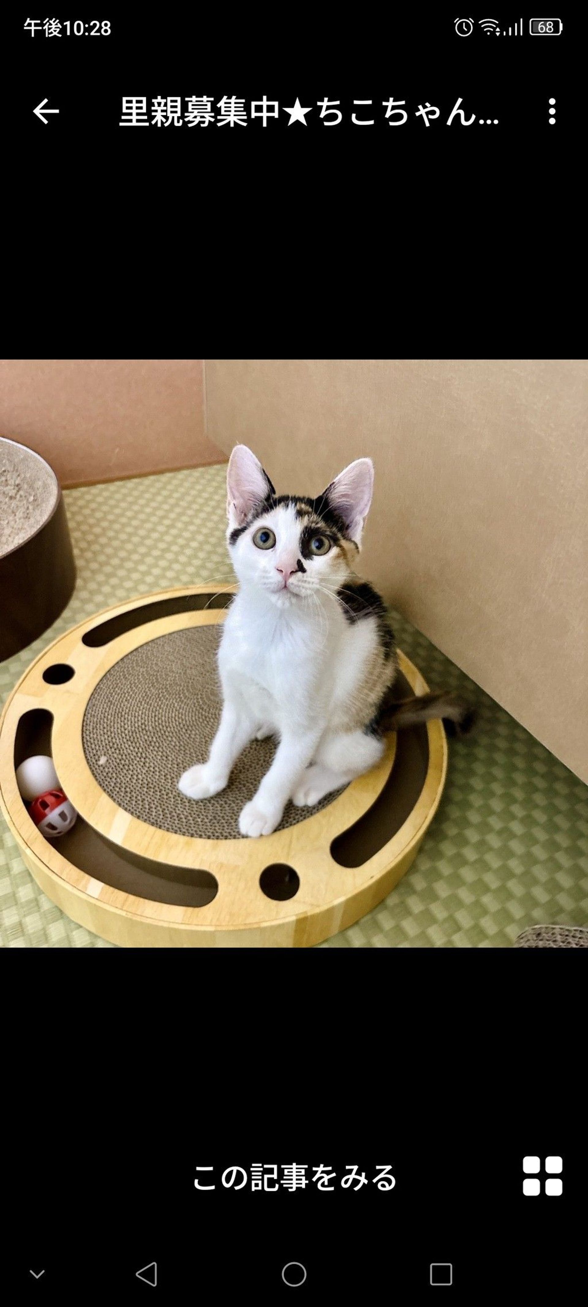 thumbnail-2