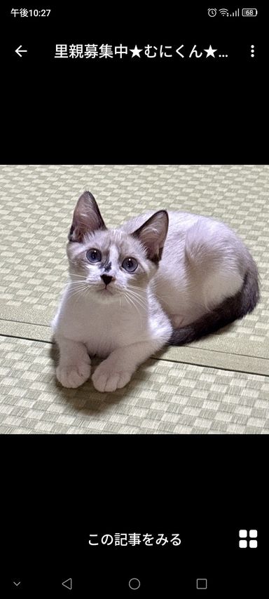 むにくん