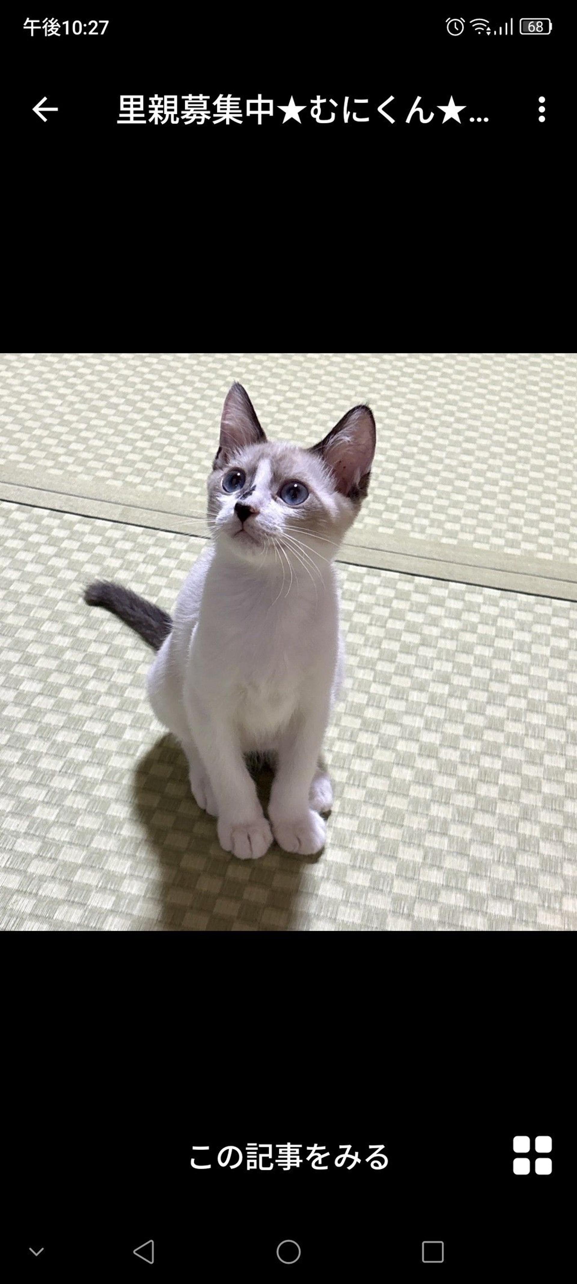pet-image-3