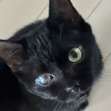 ソナの写真