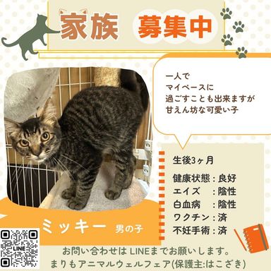 ミッキー