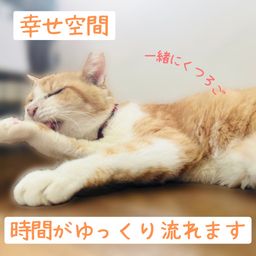thumb-5