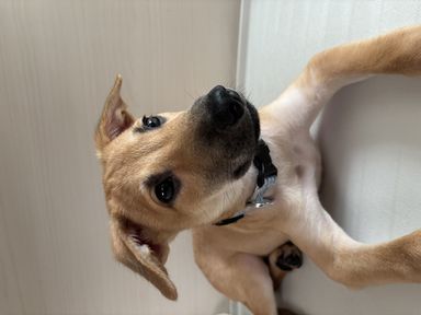 かんた