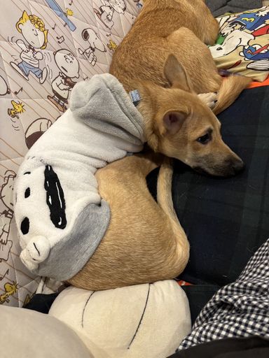 かんた