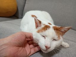 thumb-2