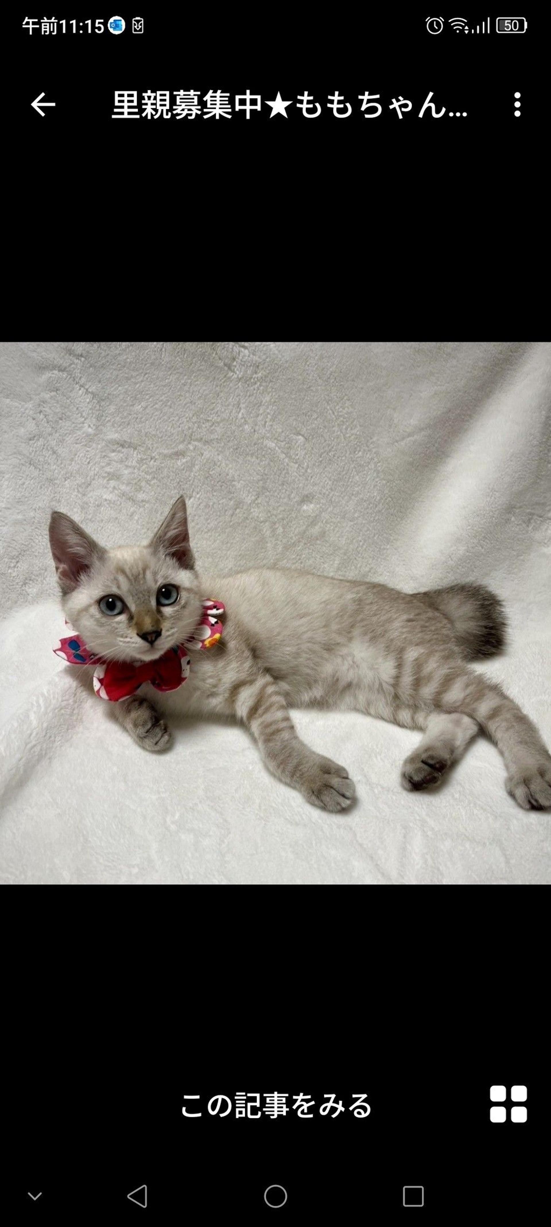 pet-image-3