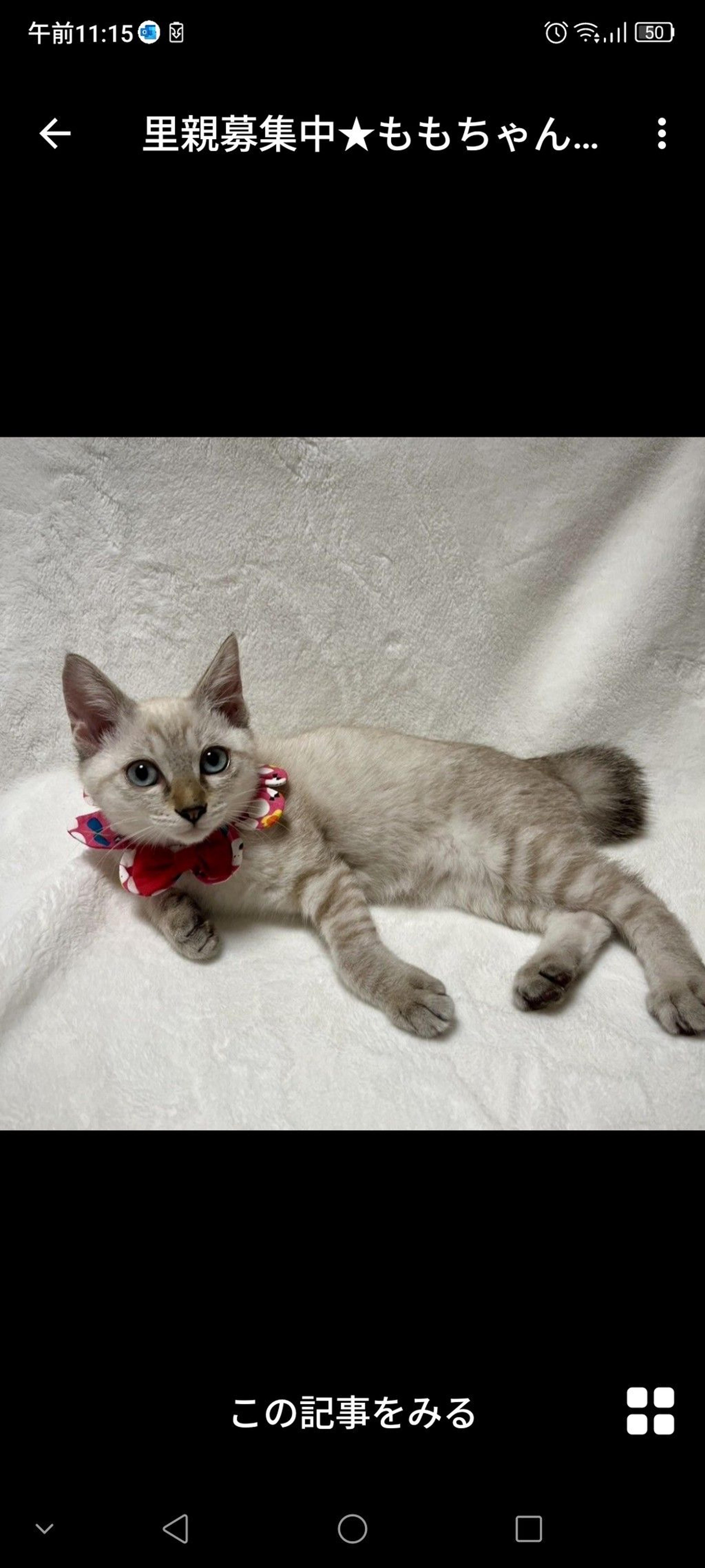pet-image-3