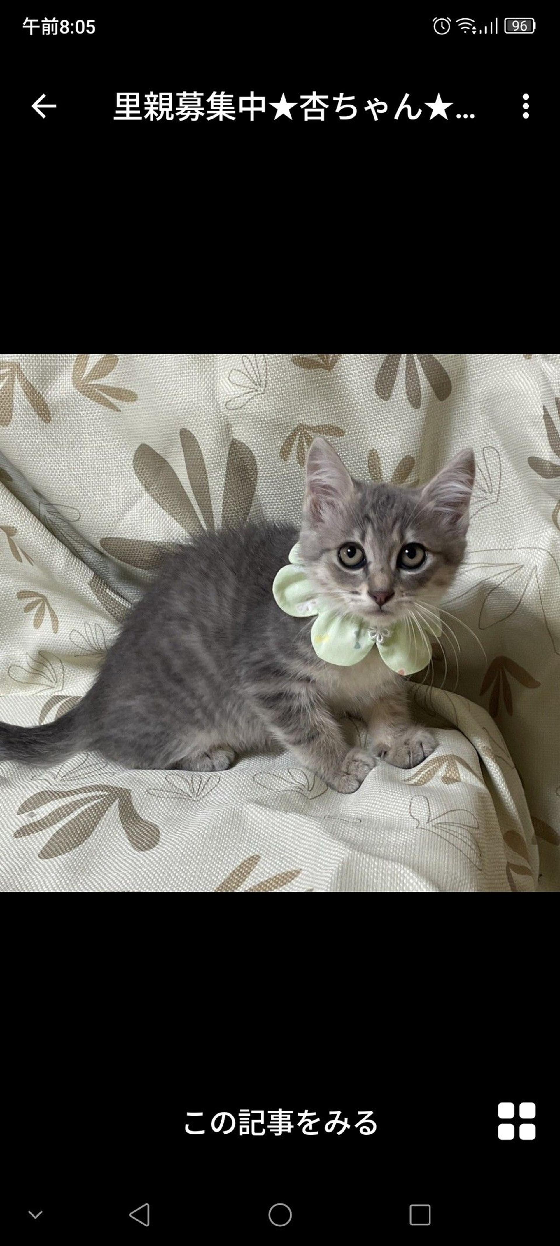 pet-image-2