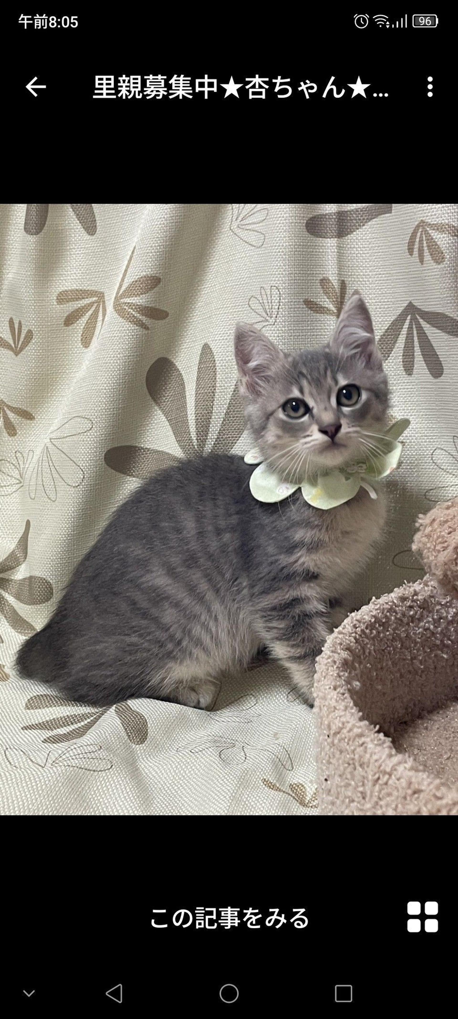 pet-image-3
