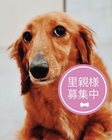 エテキチ
