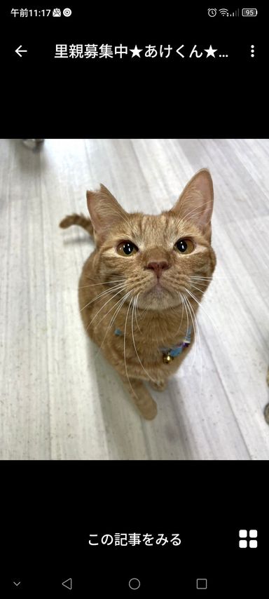 あけくん