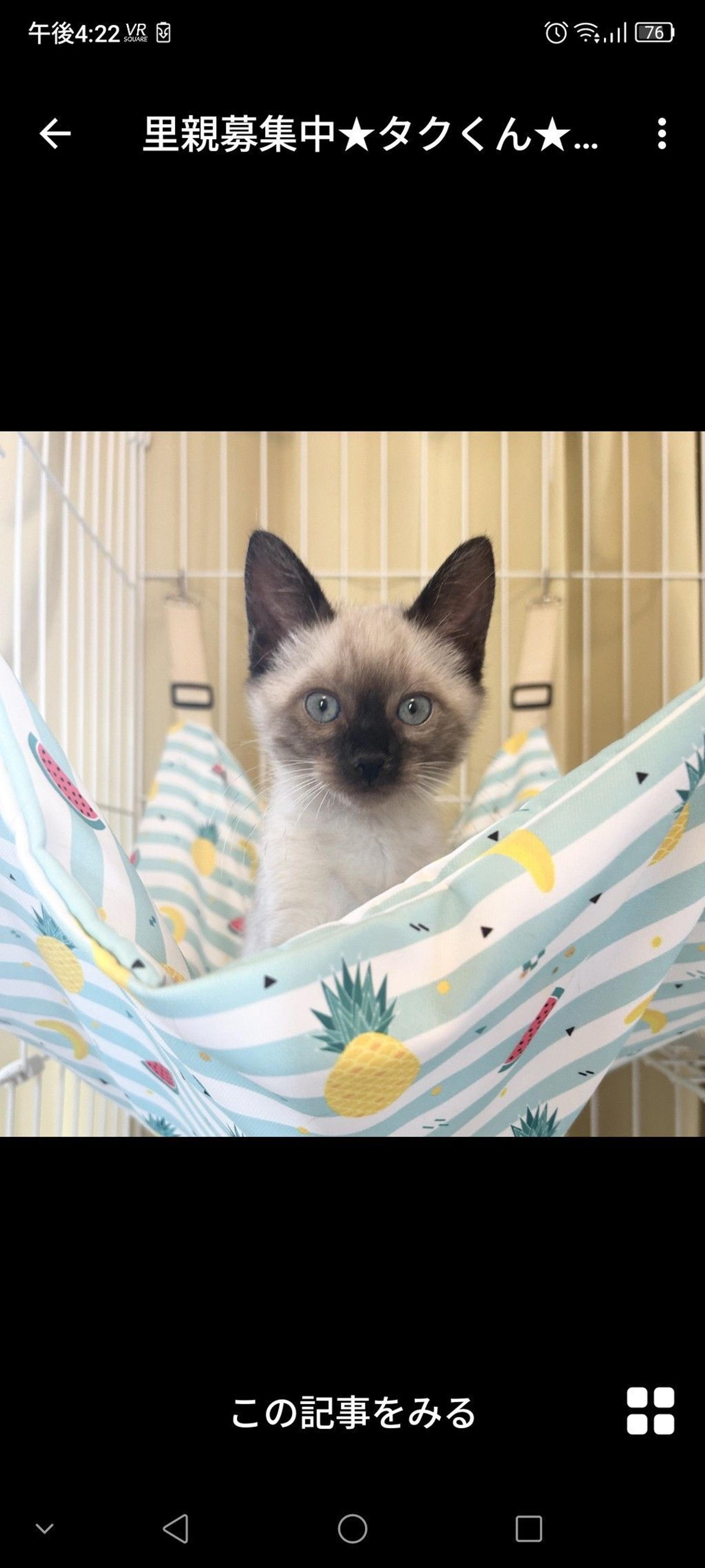pet-image-3