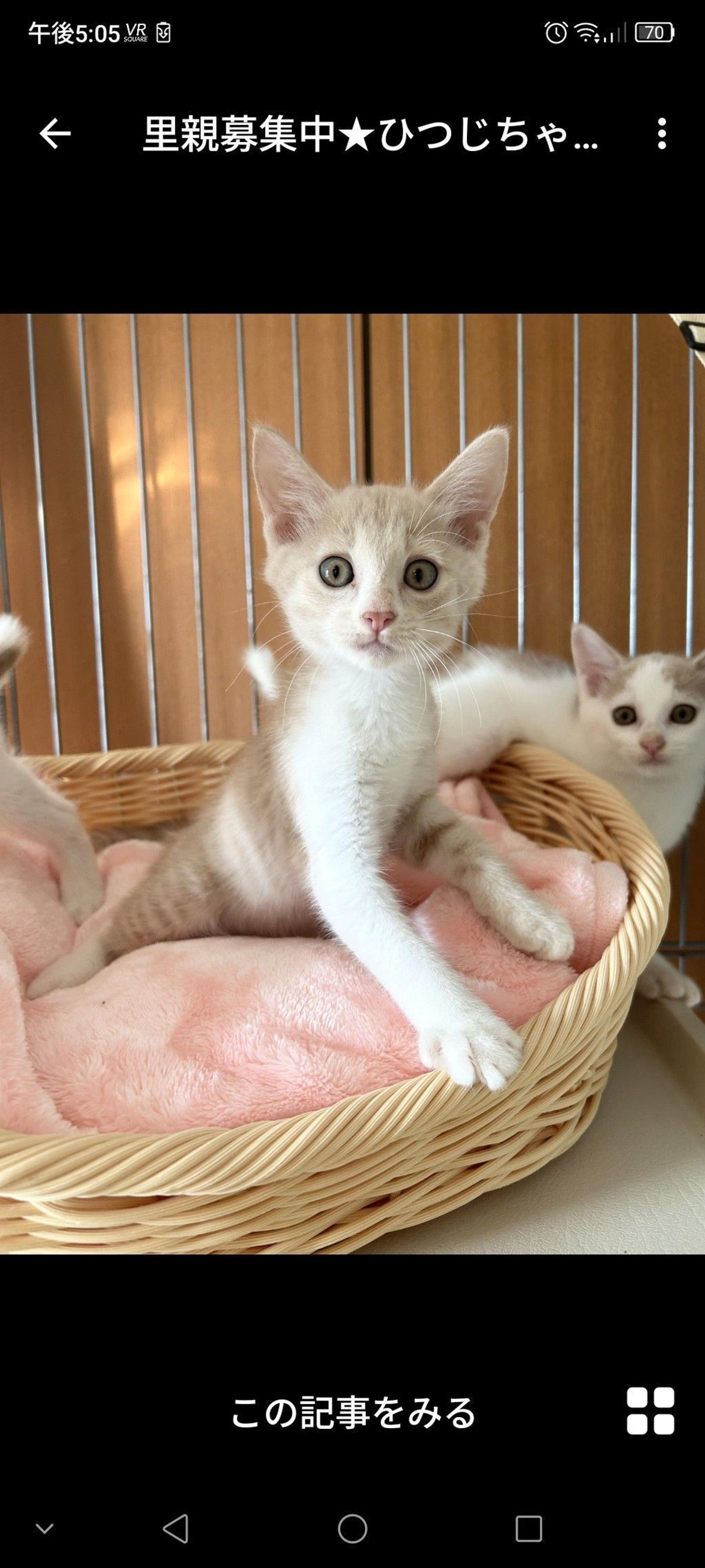 pet-image-3