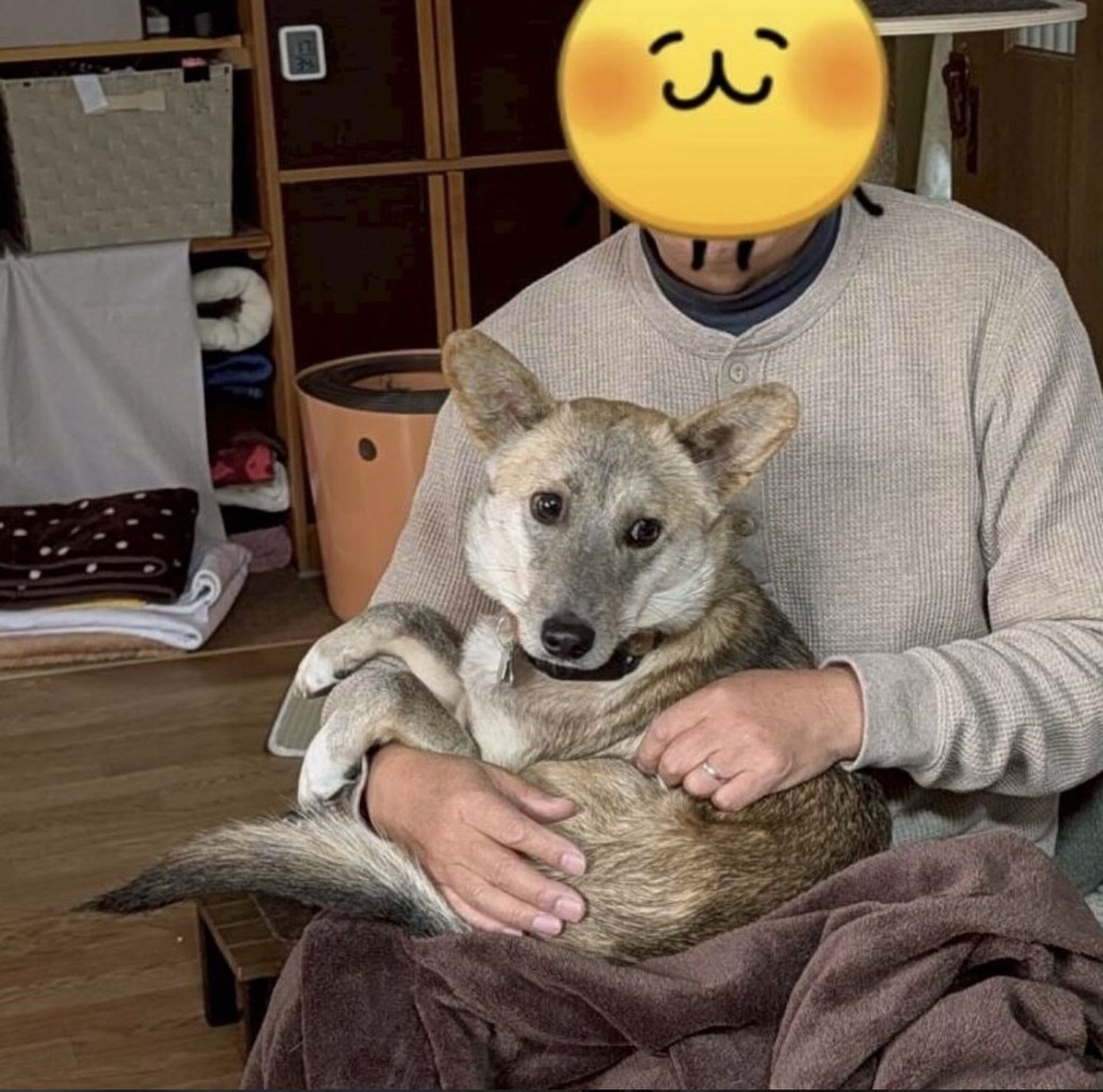 thumbnail-9