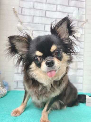 りん