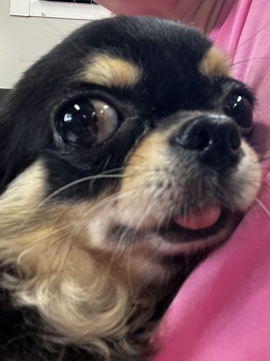 りん