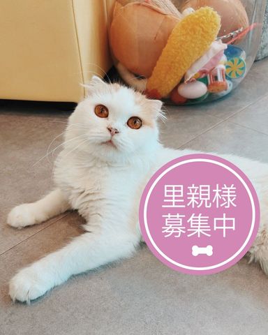 メル
