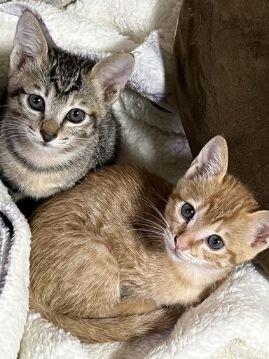 くぅちゃん&かぃちゃん