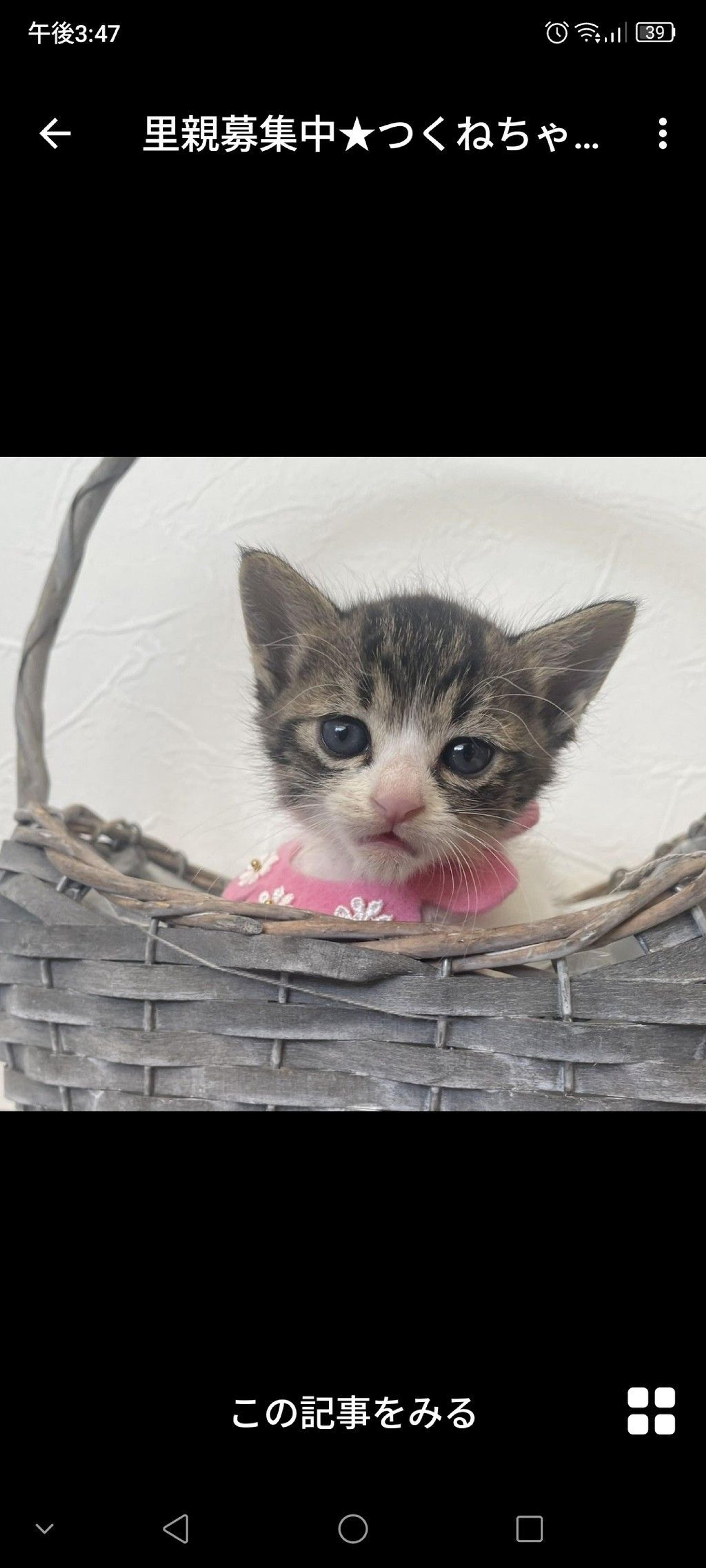 pet-image-2