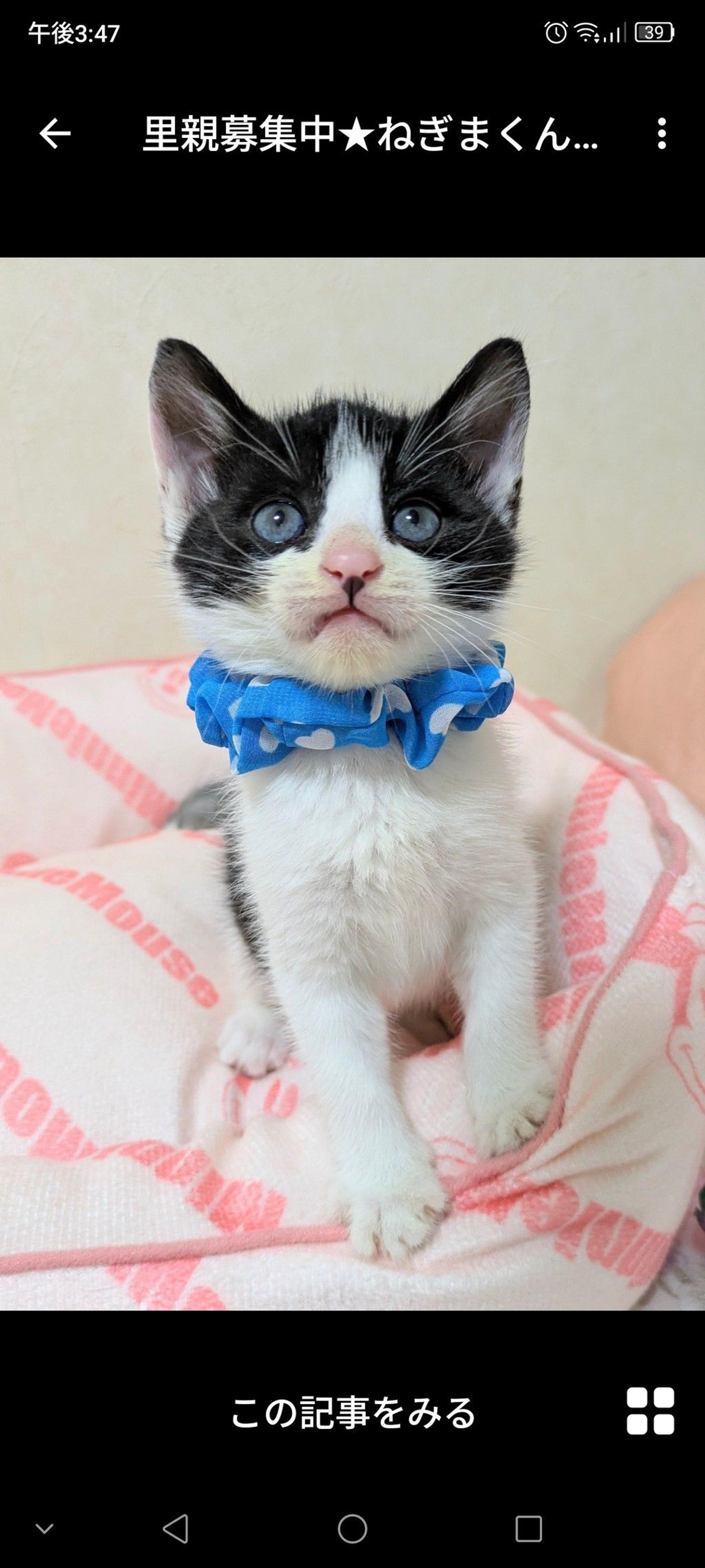 pet-image-3