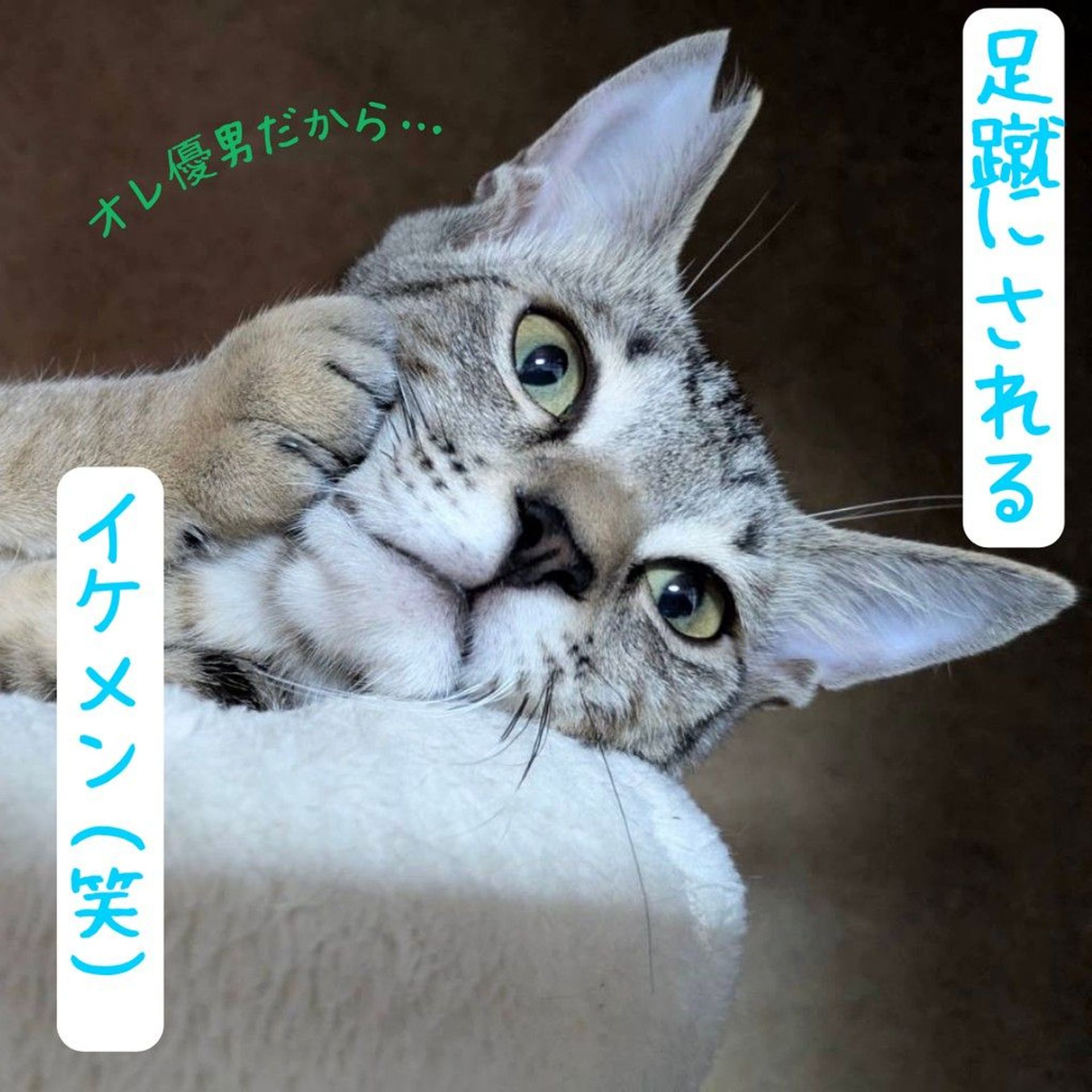 thumbnail-5
