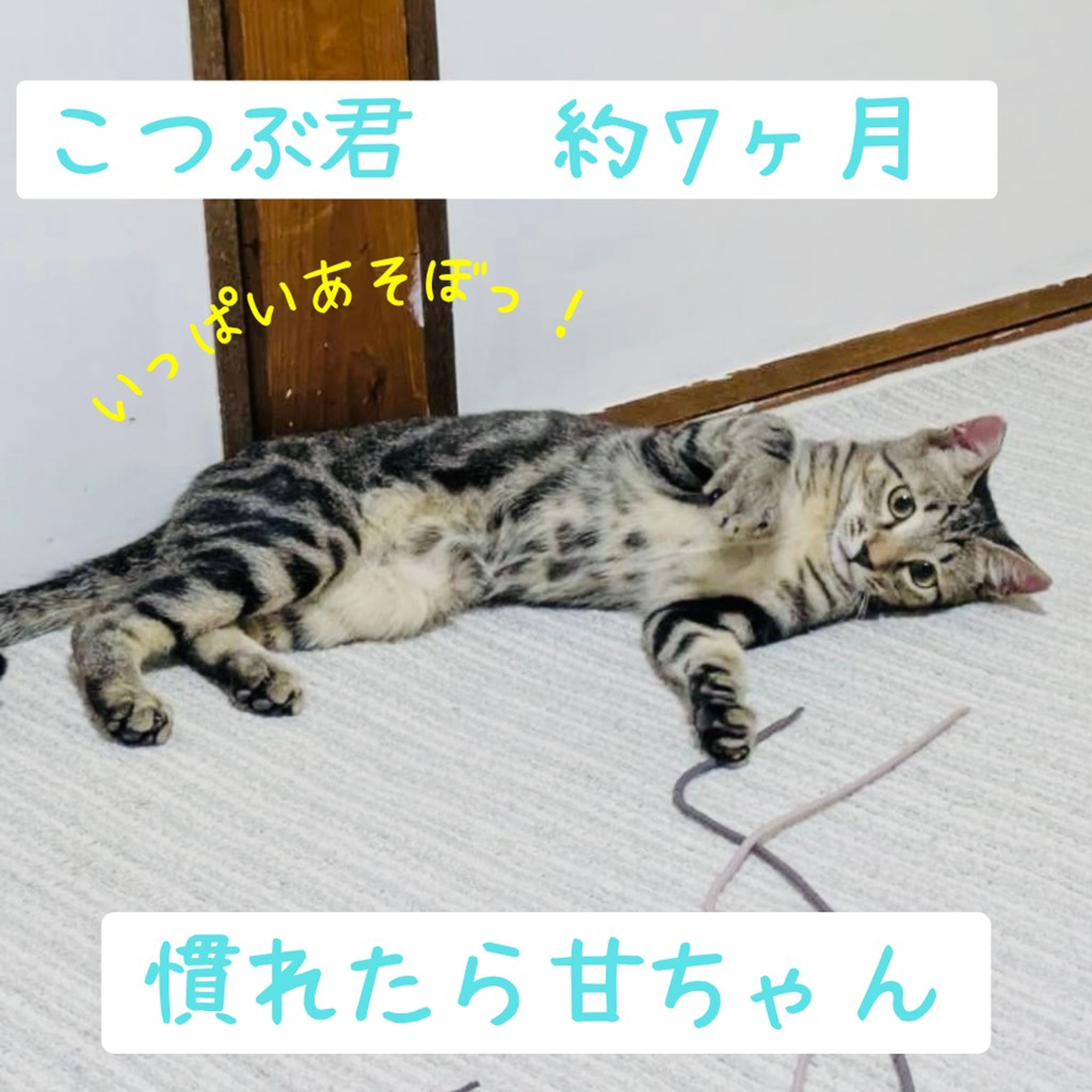 image-4