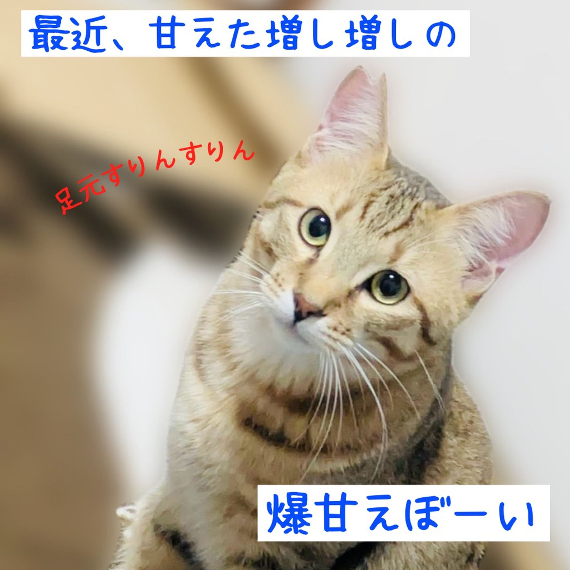 thumbnail-7
