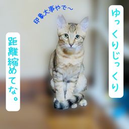 thumb-1