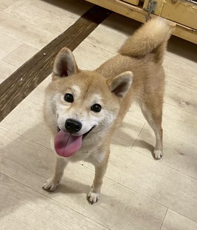 月（つき）