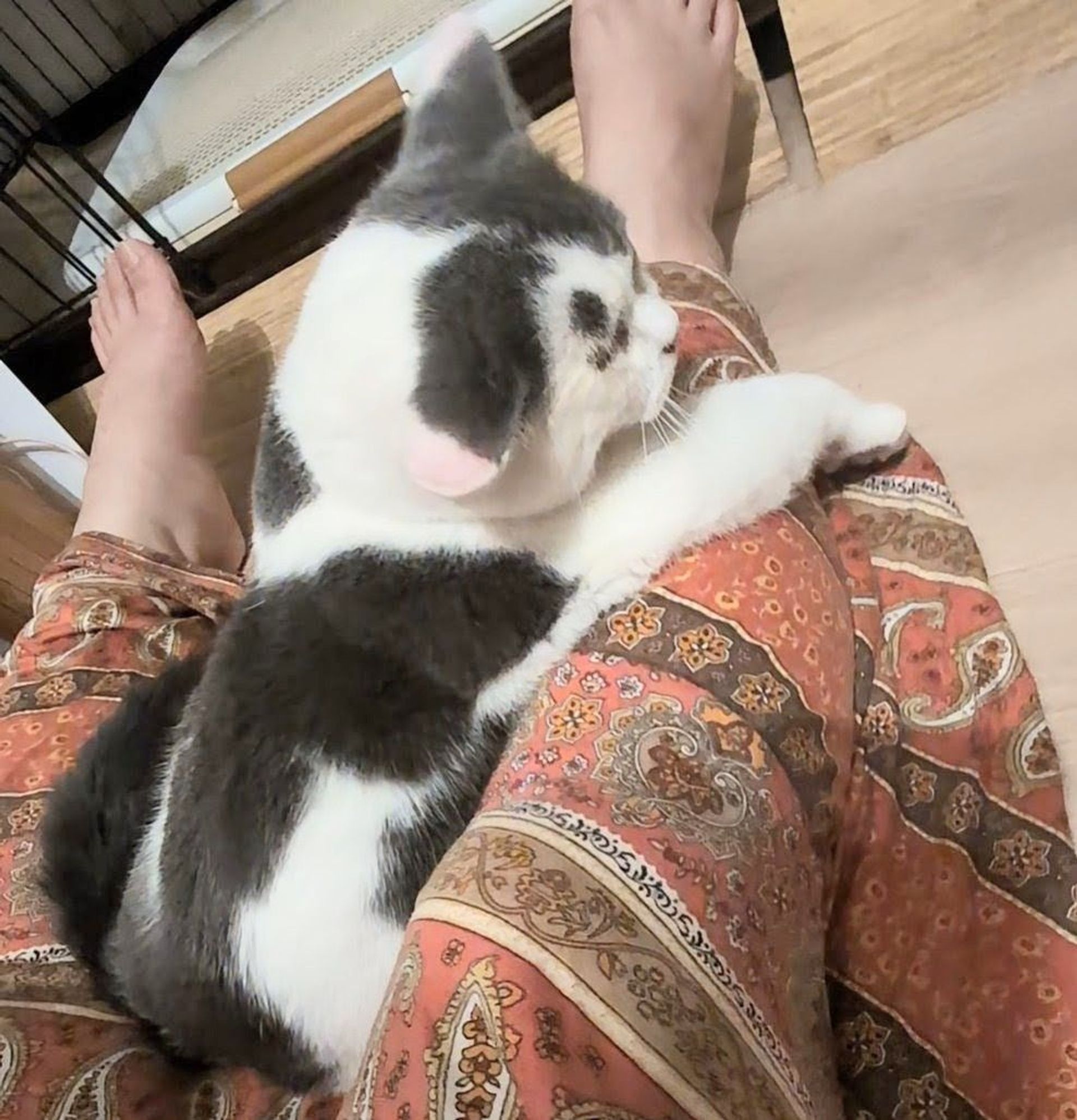 thumbnail-3