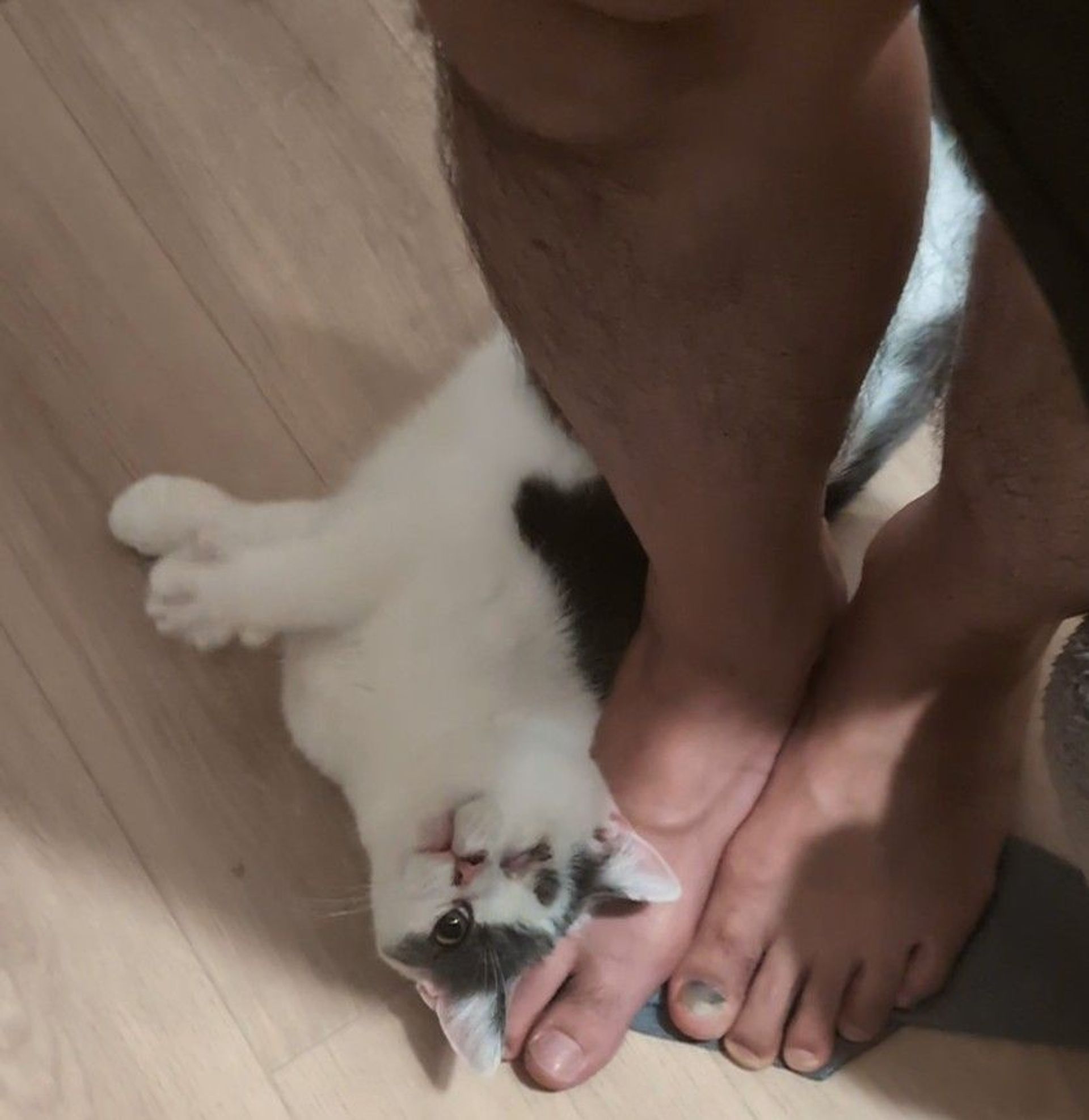 thumbnail-5