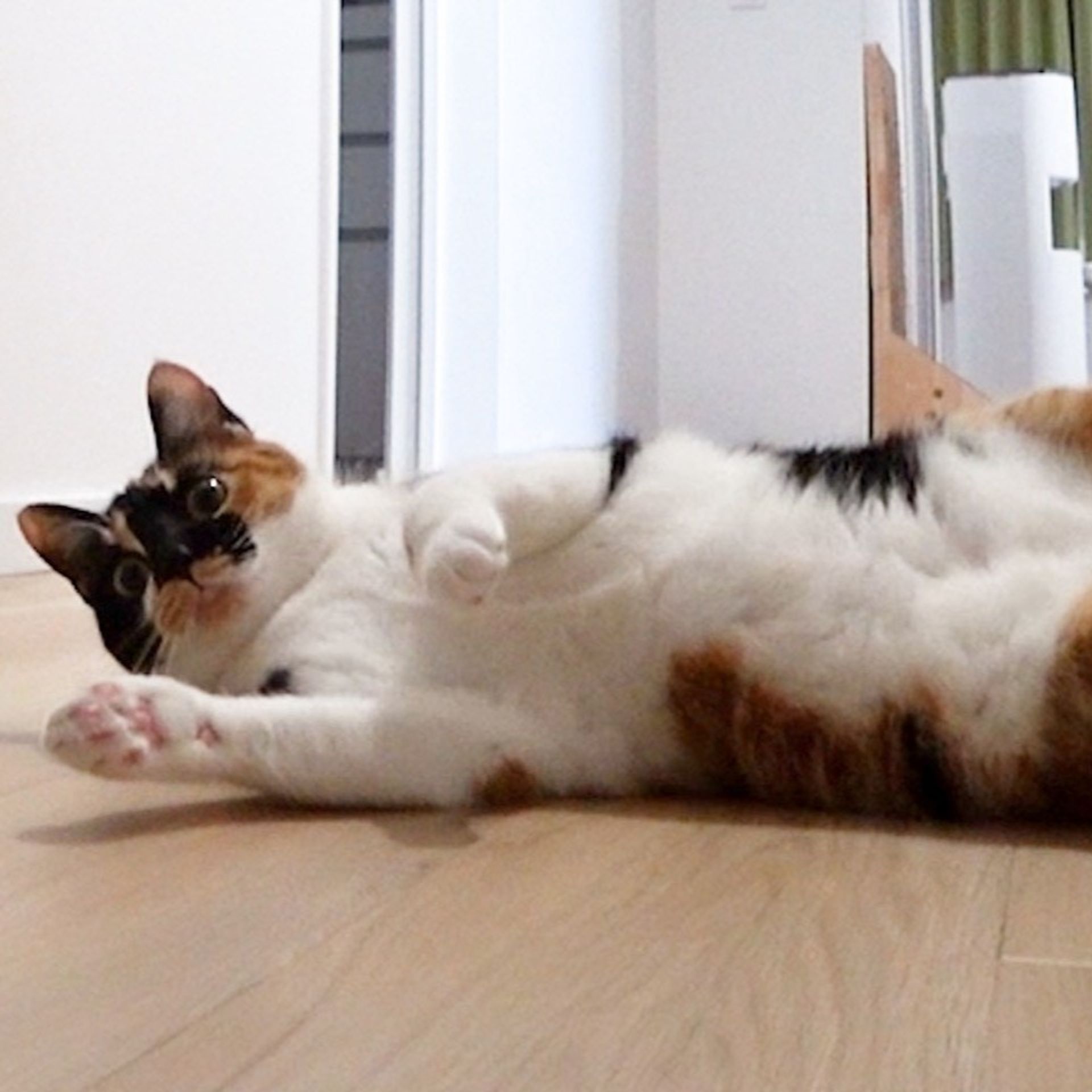 thumbnail-5