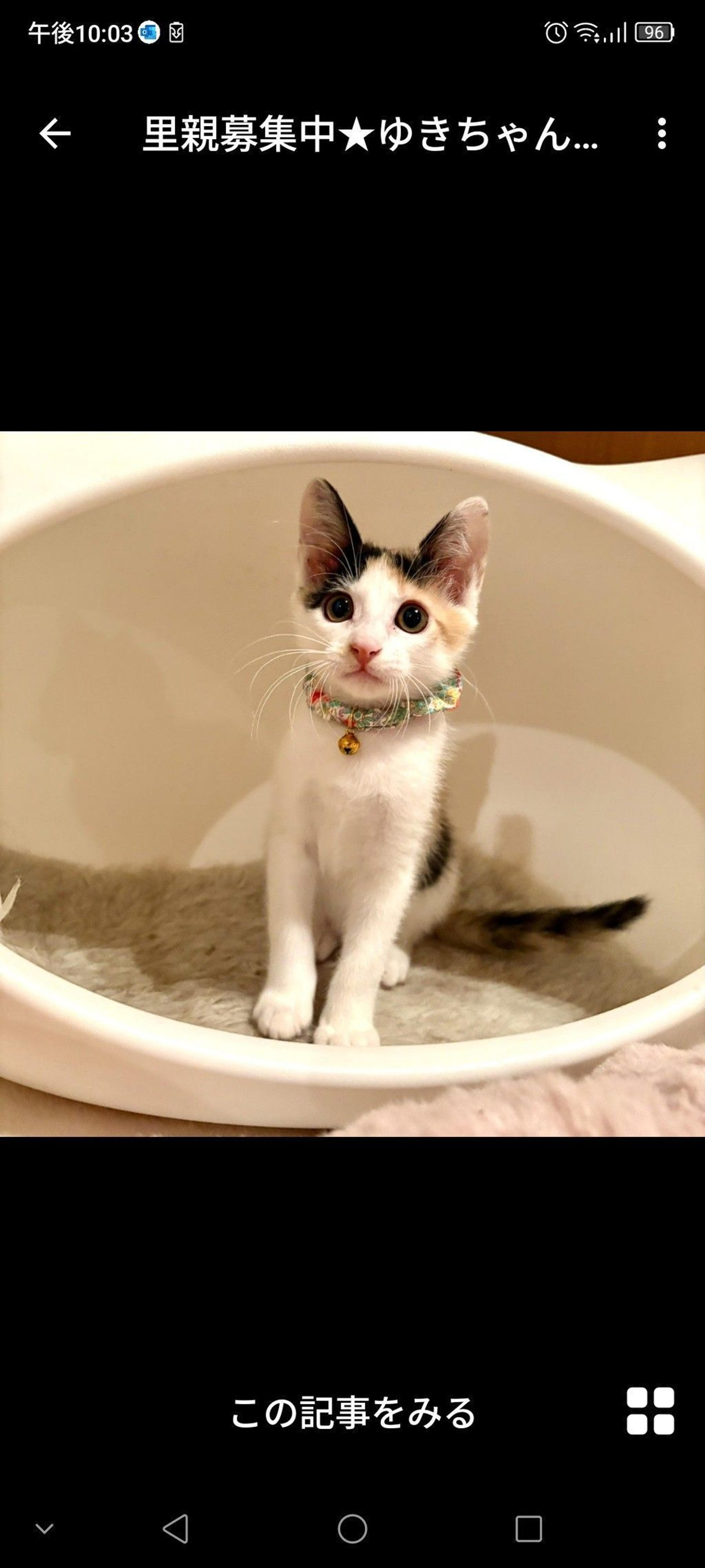 pet-image-2