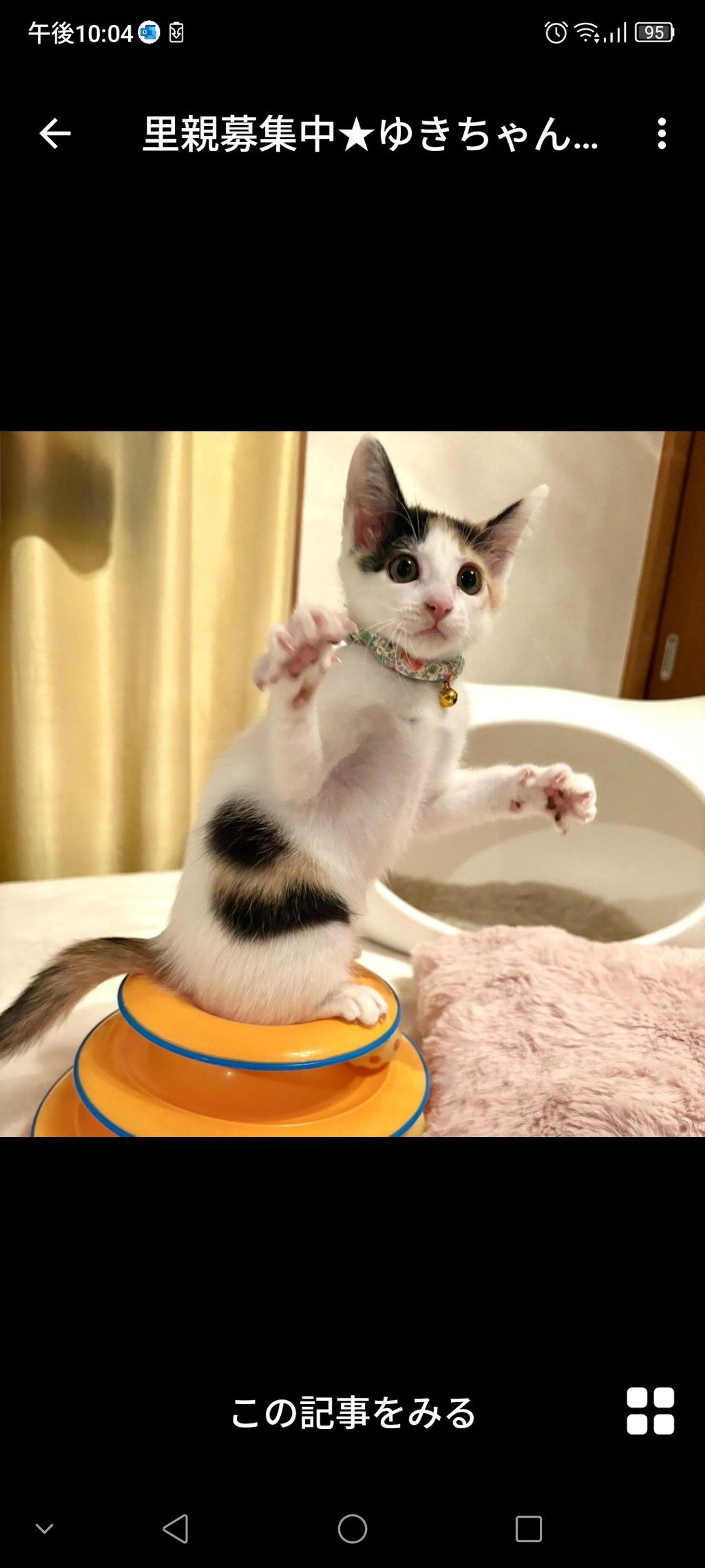 pet-image-3