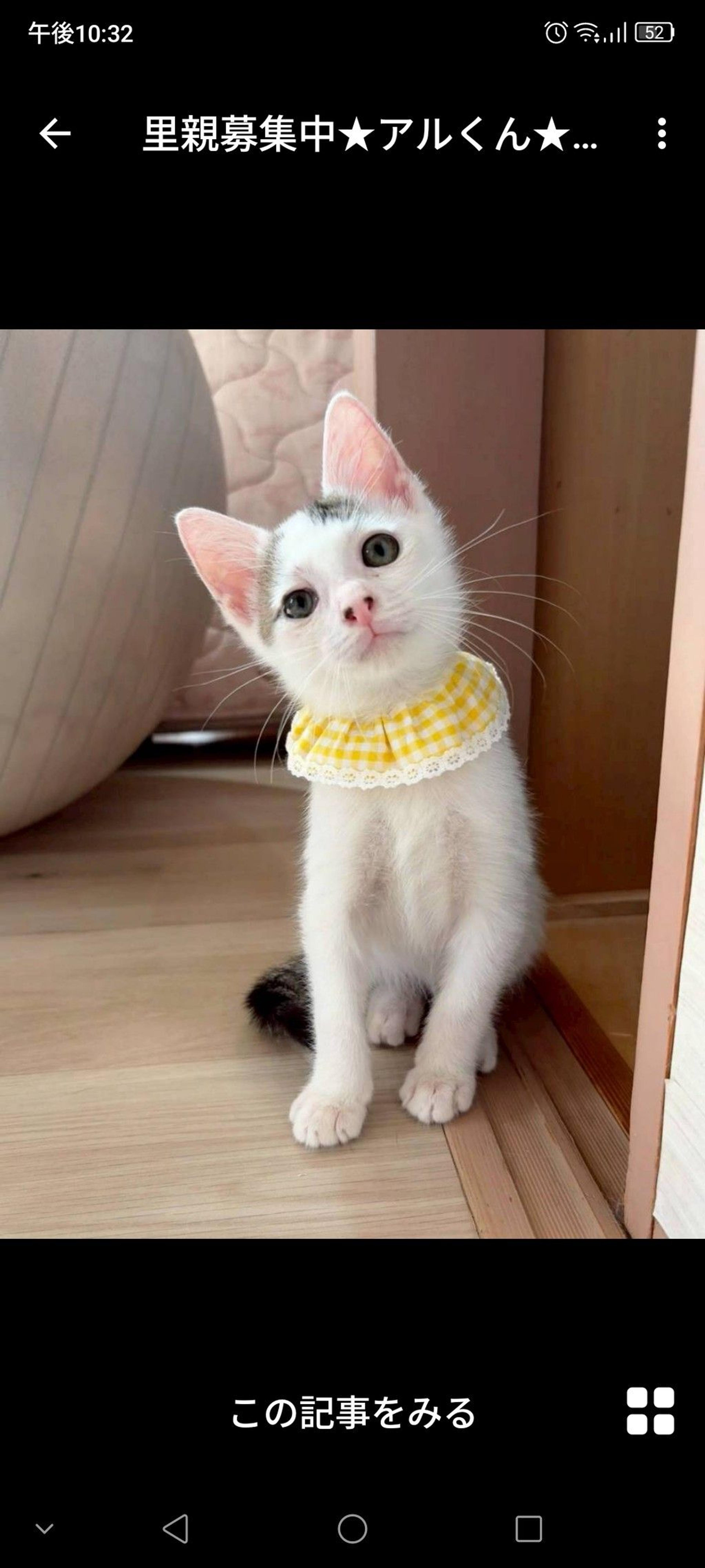 pet-image-2