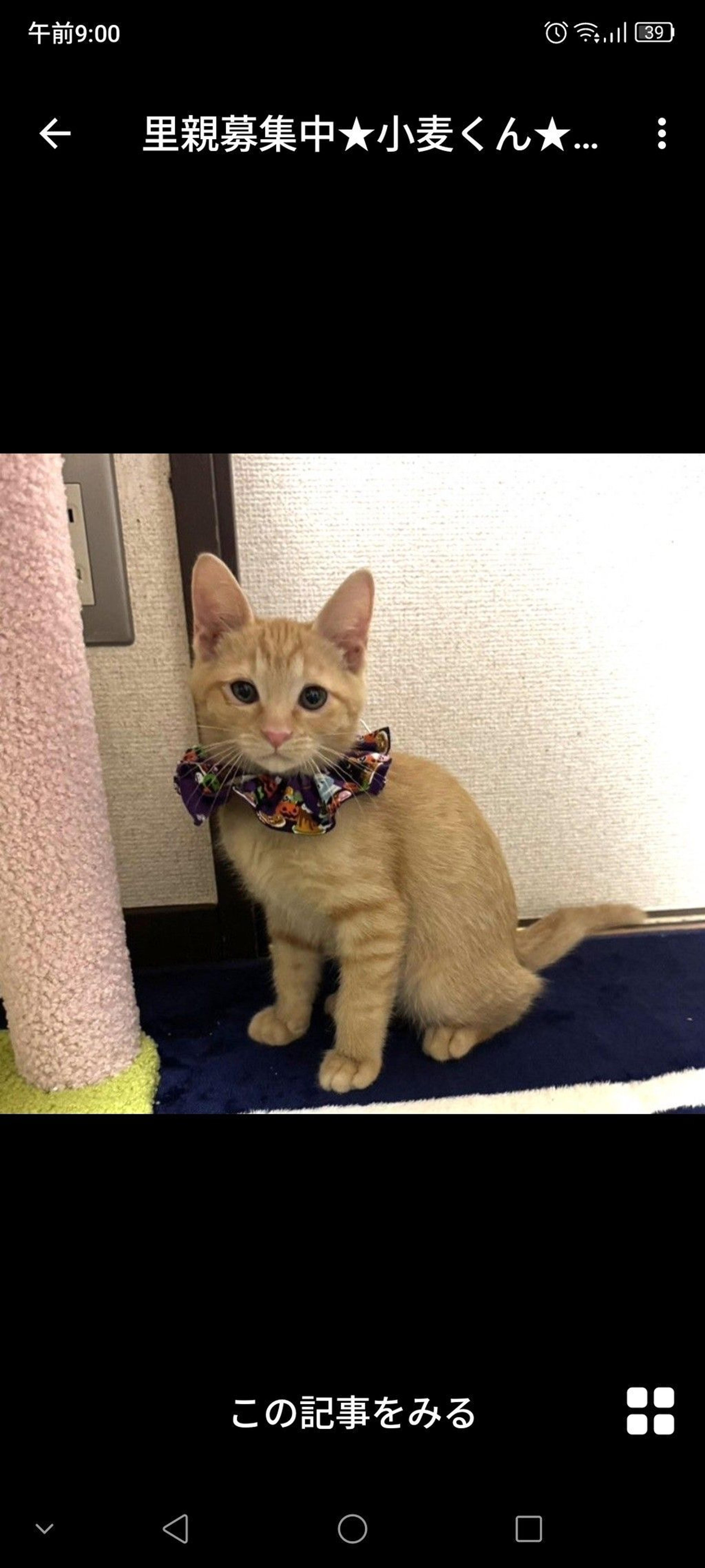 pet-image-2